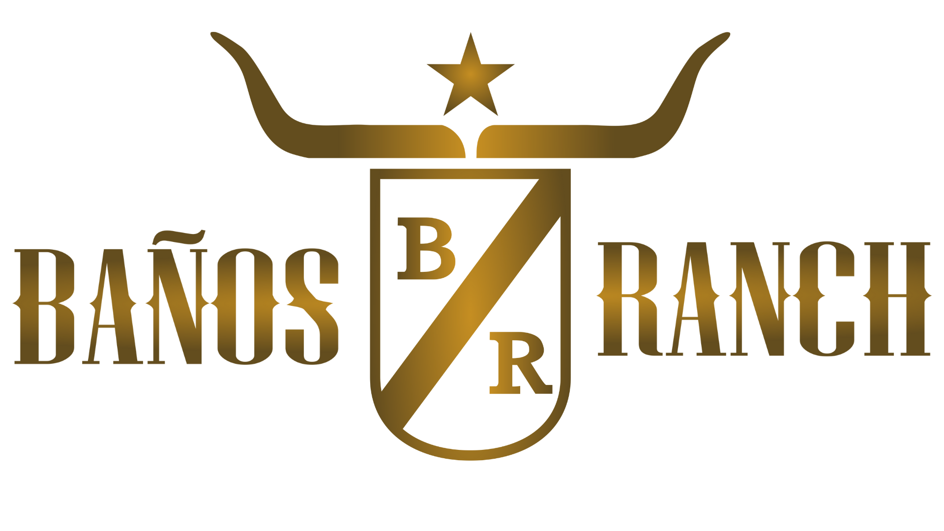 Baños Ranch | Premium Andalusian & Friesian Horses | Murrieta, California